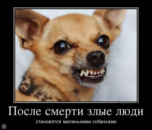 Не жадничай! 12