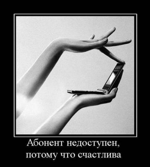 Демотиваторы про котэ и не только.