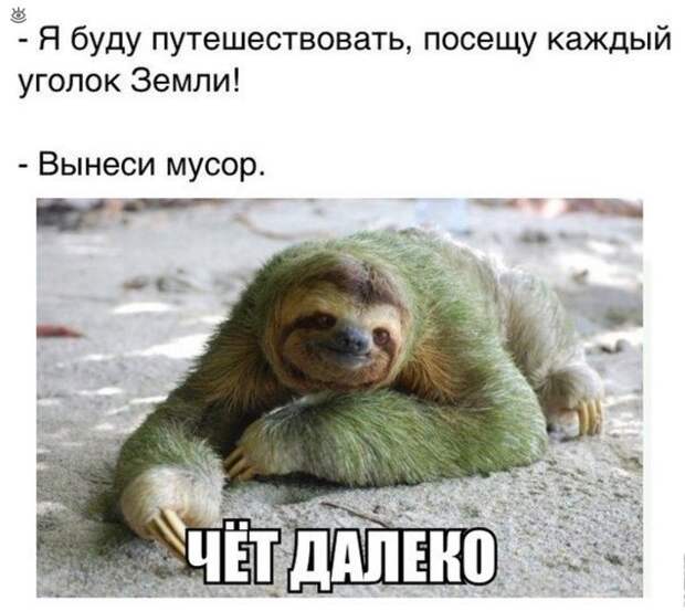 Весёлости из мира 38