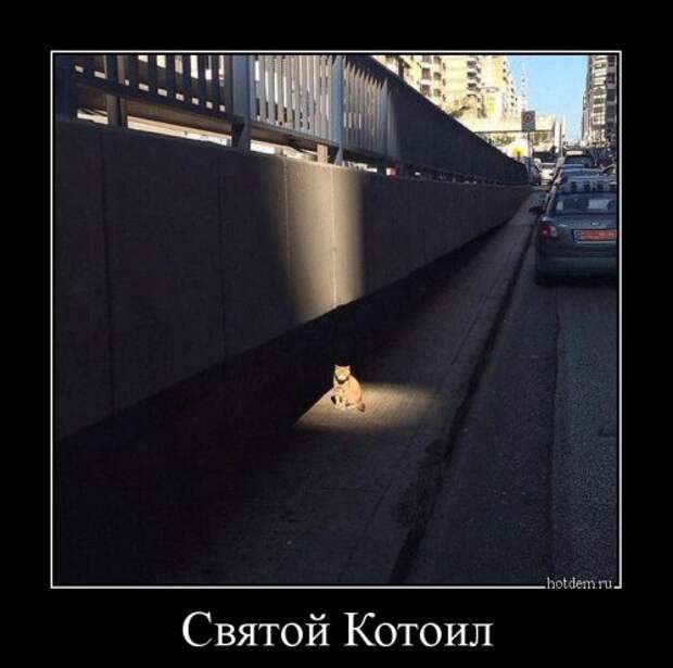 Прикольные демотиваторы (15 шт)