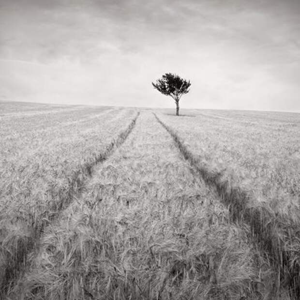 Фотограф Jonathan Critchley