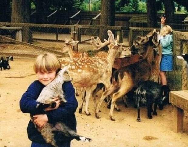 Когда отпускные фотографии обернулись полным провалом Когда отпускные фотографии обернулись полным провалом