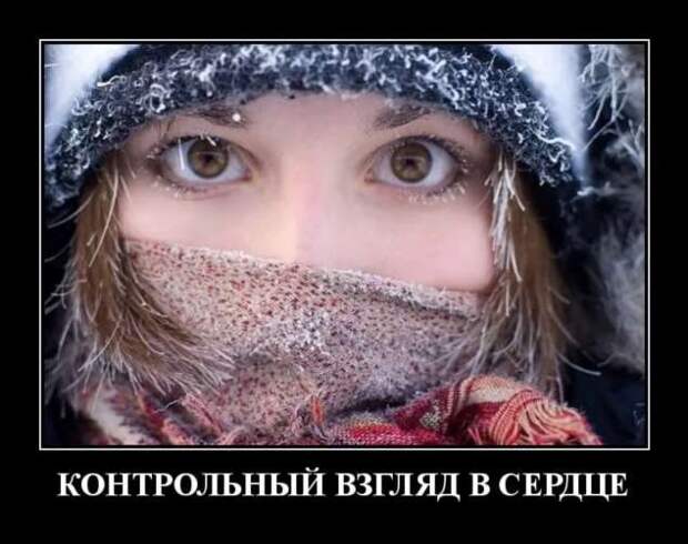 Прикольные демотиваторы с надписями. Подборка chert-poberi-dem-chert-poberi-dem-29310421092020-14 картинка chert-poberi-dem-29310421092020-14