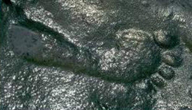 original_290-million-year-old-footprint-ancient-code__econet_ru