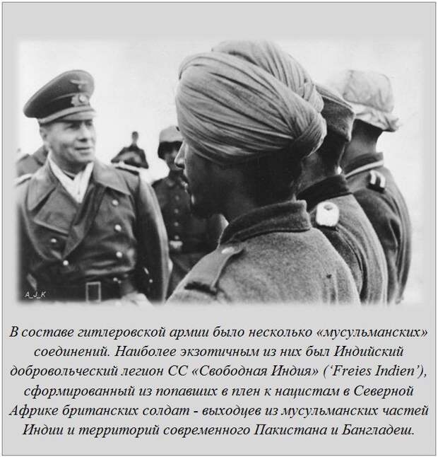 Интересные факты (14 картинок)