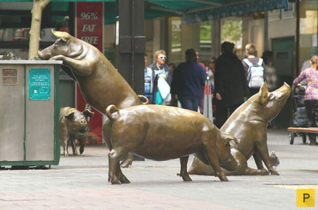 Свинки тоже оказались объектом искусства. /Фото: promoidom.com