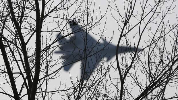 National Interest: Российские Су-30 в Иране станут «кошмаром Ближнего Востока»
