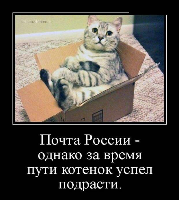 Демотиваторы демотиваторы, юмор