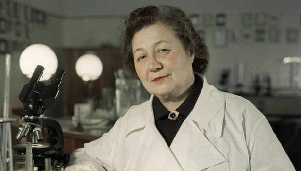 Как советская ученая Зинаида Ермольева спасла Сталинград от холеры и создала свой пенициллин