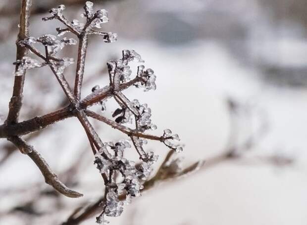 Главный синоптик Петербурга предупредил о похолодании