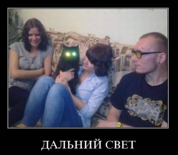 Новенькие смешные демотиваторы.