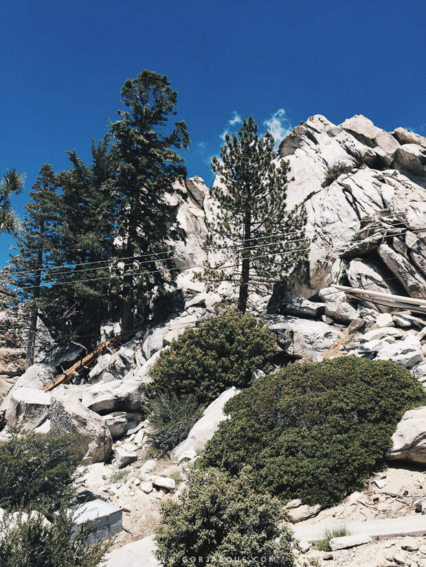 Palm-Springs-Aerial-Tramway-00-17.jpg