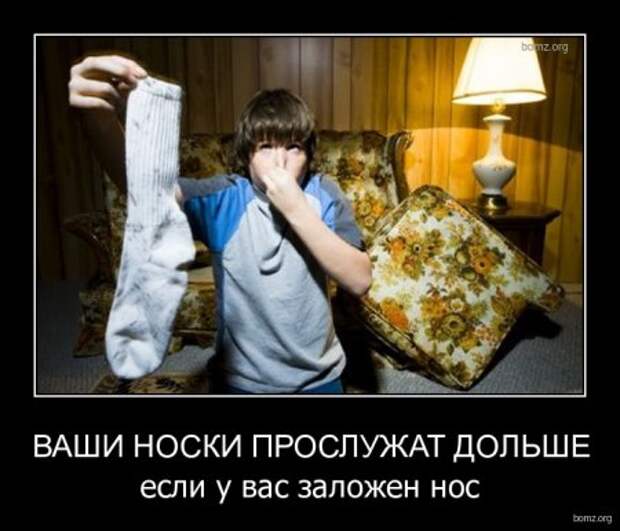 Демотиваторы фото приколы картинки с надписями.