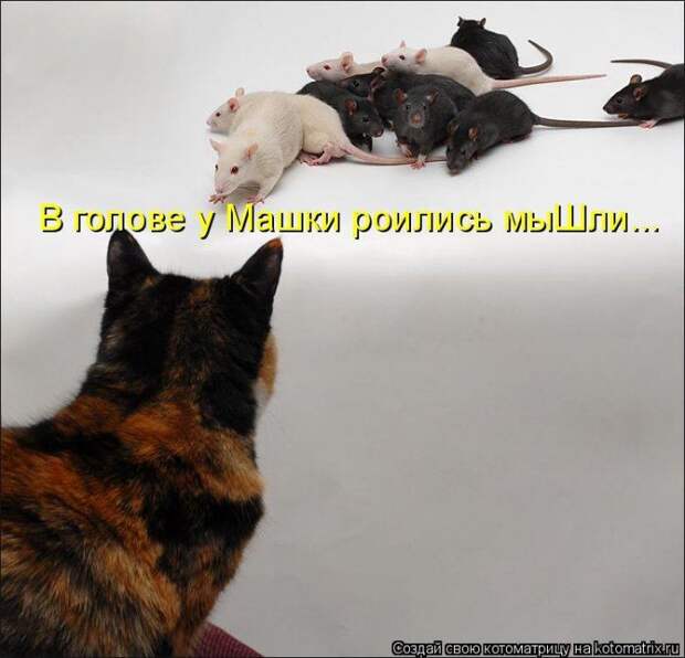 Мысли вслух :)