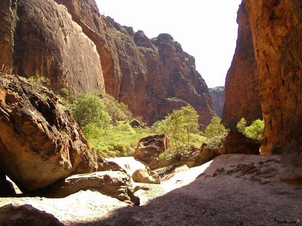 NewPix.ru - Хребет Бангл-Бангл (Bungle Bungle National Park)