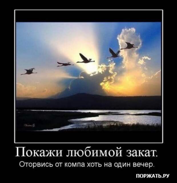 Демотиваторы приколы и юмор в смешных фотках с надписями.