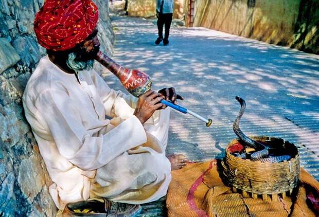 Местный колорит