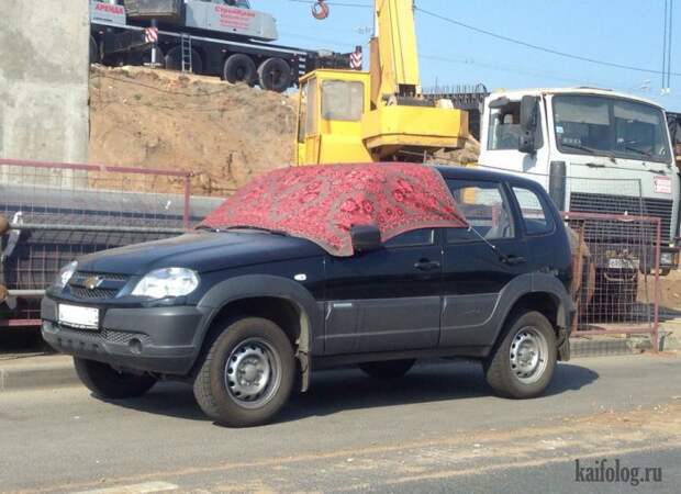 Приколы про ковры (45 фото)