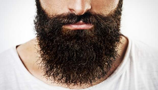 6. Погонофобия – боязнь бороды и бородатых людей странности, факты, фобии