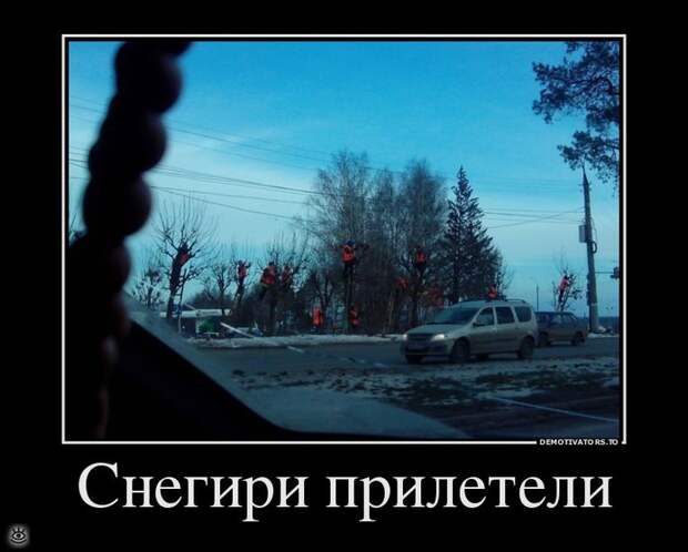 Называй вещи своими именами 13