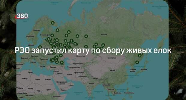 РЭО запустил карту по сбору живых елок