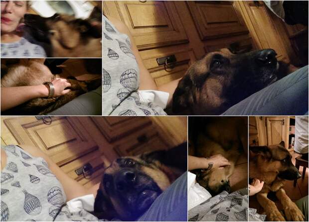 omd.jpg omd.jpg