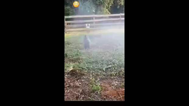 Video: Клип @donetskdnr_vk