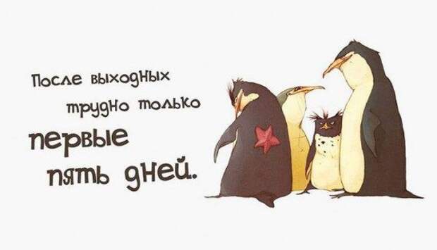 Аткрыточки