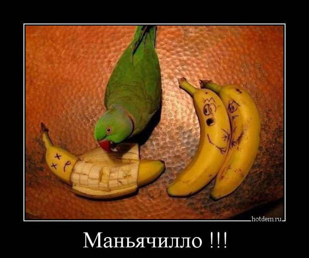 Демотиваторы, часть 269 (28 фото) Демотиваторы, часть 269 (28 фото)