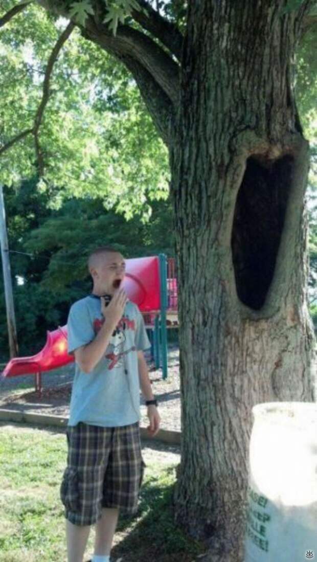 Забавности и оригинальности 40