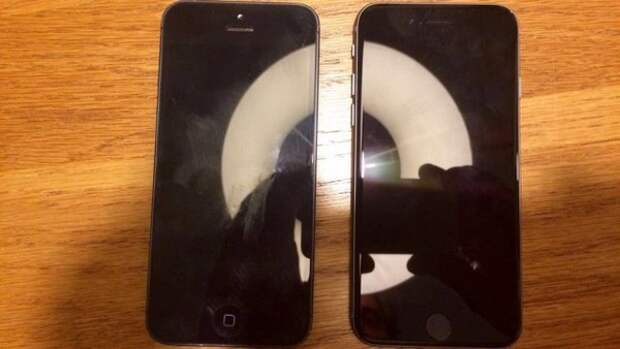 iPhone 5se против iPhone 5
