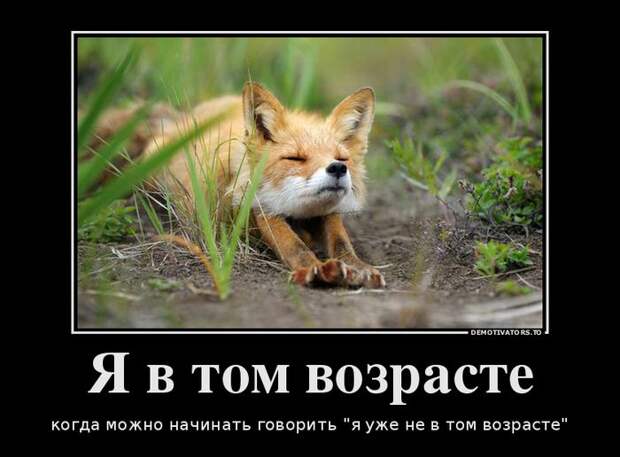 Демотиватор 5 демотиватор, юмор