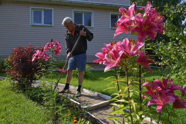 Врач Десенко: садово-огородные работы лучше всего выполнять, сидя на стуле