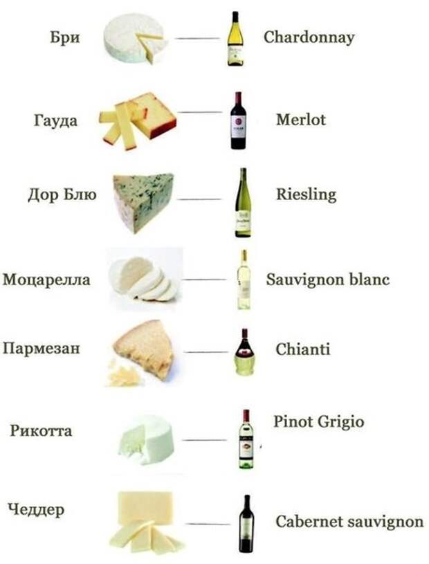 Сыр и вино - что с чем сочетается (459x604, 29Kb)