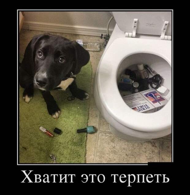 Подборка демотиваторов демотиватор, юмор