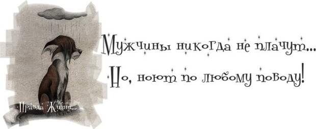 Прикольные картинки с надписями