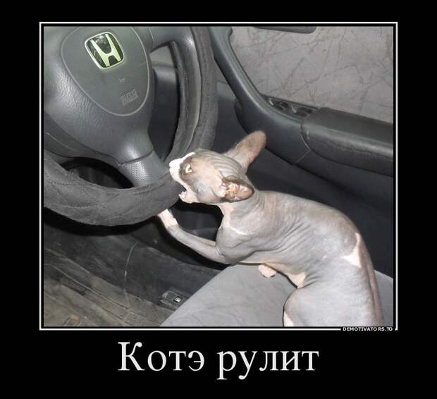 Демотиваторы  демотиваторы, прикол, смех, юмор