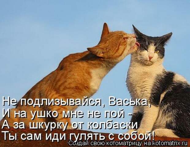 Мысли вслух :)