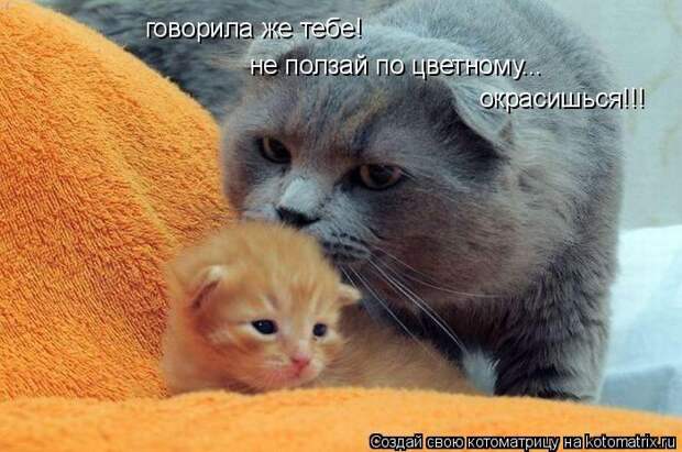 Мысли вслух :)