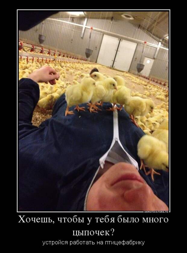 Демотиваторы демотиваторы