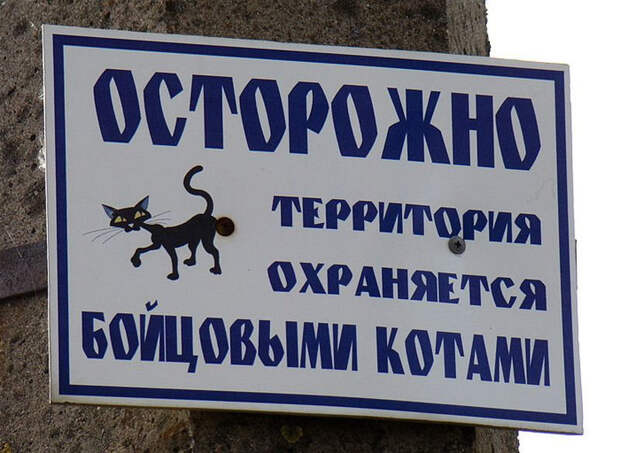 Звучит убедительно: 20 остроумных табличек собака, табличка, юмор