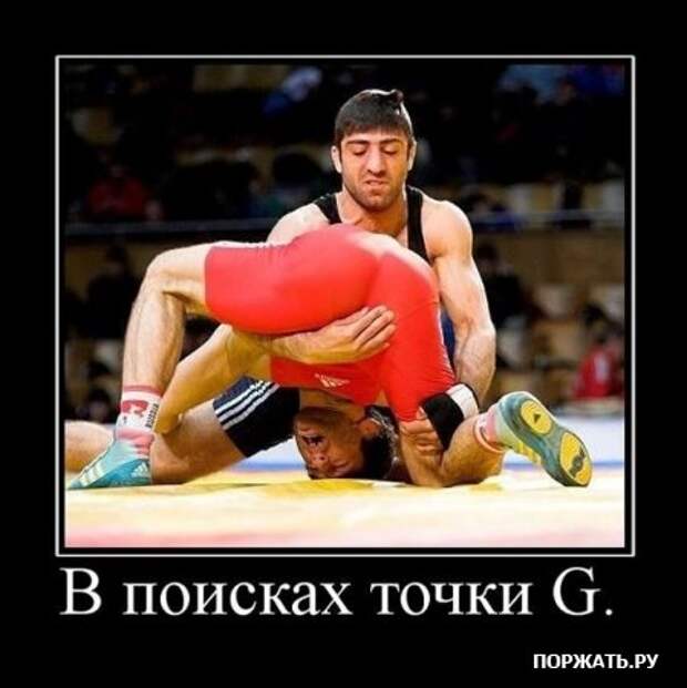 искали демотиваторы?