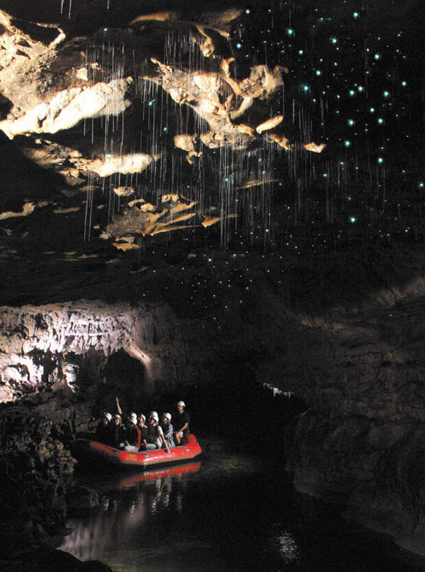 waitomo-glowworm-caves-new-zealand-11