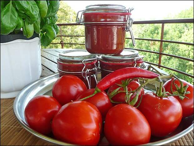 ketchup ketchup