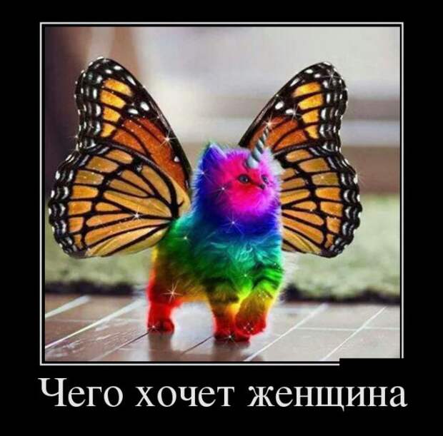 Демотиваторы (30 фото)