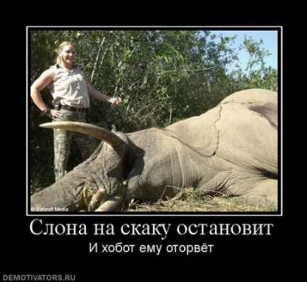 Демки прикольные