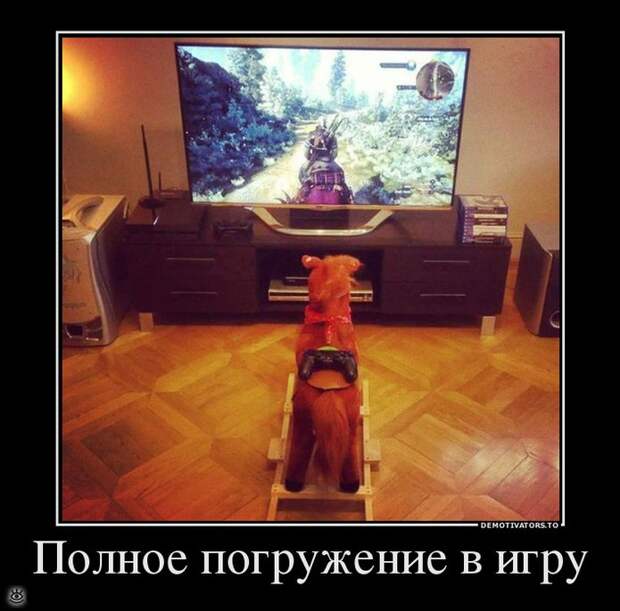 Не сдавайся никогда! 24