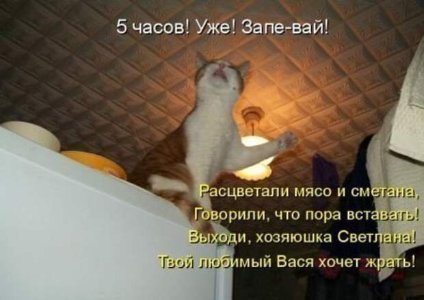 Картинки