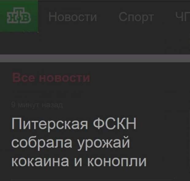 Такие заголовки нарочно не придумаешь (13 фото)