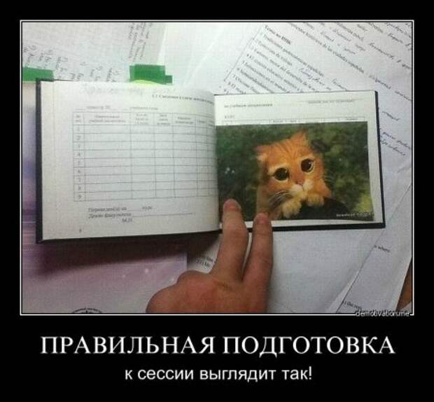 Смешные демотиваторы, веселые картинки с надписями!